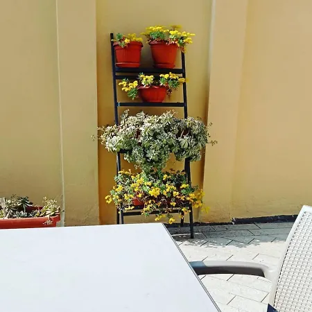 Appartement Da Irma In Terrazza *